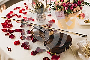Romantic table setting with beautiful flowers in box, rose petals and violin