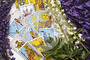 Romantic Tarot Setup Background. Tarot cards and Lupin flowers.