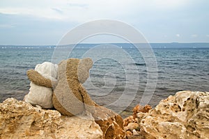 Romantic teddy bears