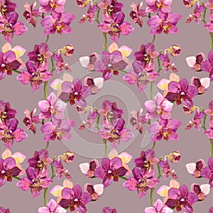 Romantic tiled background with orchids painted in botanical style
