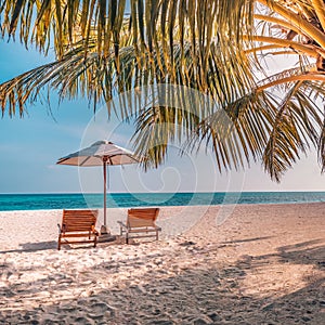 Romantic tropical sunset scenic, two sun beds, loungers, umbrella under palm tree leaves. White sand landscape sea view horizon