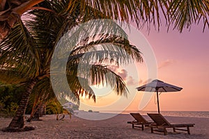 Romantic tropical sunset scenic, two sun beds, loungers, umbrella under palm tree leaves. White sand landscape sea view horizon