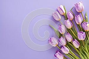 Romantic tulip display Purple bouquet on veri peri background banner