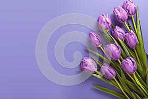 Romantic tulip display Purple bouquet on veri peri background banner