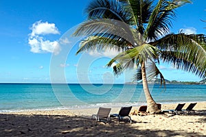 Romantic view of the pale blue sea and sandy beach with loungers under palm tree.