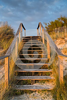 Wooden stairs leading over sand dunes to the beach at sunset with reeds and grasses