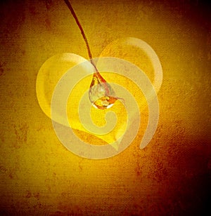 Romantic vintage background