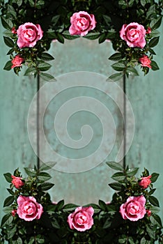 Romantic vintage roses background