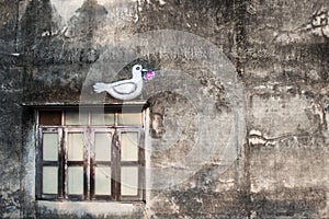 Romantic wall with white pigeon on the window shutters in Phuket Town