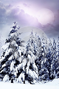 Romantic winter landscape with Moon and evening sky