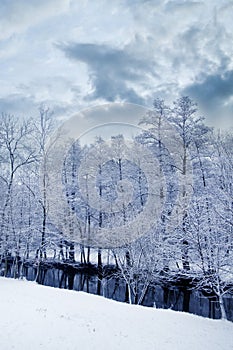 Romantic winter landscape with snow and beautiful sky