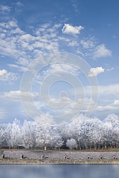 Romantic winter landscape with trees and snow and river