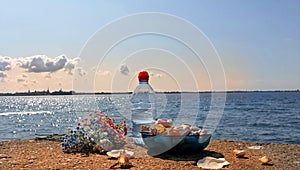 Romantic world Wild flowers fresh water in clean Baltic Sea seashell on rock i blue glass cup and bott