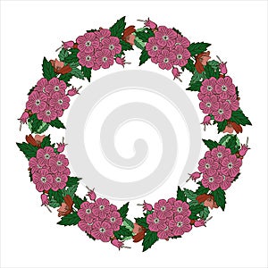 Romantic wreath with flowers and leaves. Romantic vector elements for card. Save the date and invitation