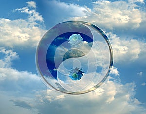 Romantic yin yang symbol with beautiful sky and blue flowers