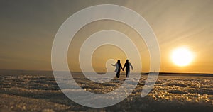 Romantic young couple holding hands and walking on the beach as the sun begins to set.