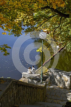 Romantic young couple sitting by the water looking at the  autumn landscape.