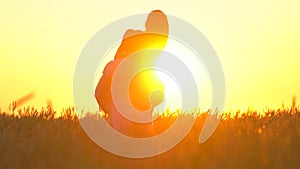 Romantic young happy couple silhouette in golden wheat field at sunset. Woman is running to her man, they hugging and