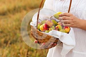 Romantic young women outdoor hold basket with apples and pears in her hands. Harvesting in village in sumer or autumn. Healthy