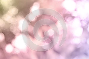 Romantics gradient pink abstract bokeh lights backgrouns textures photo