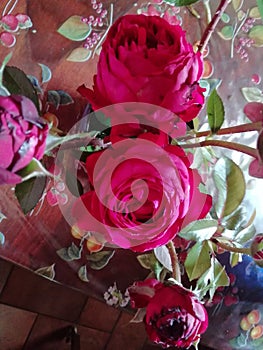Romantique old rose background photo