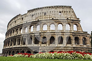 Rome Coliseum