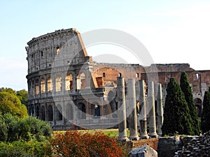 Rome Coliseum