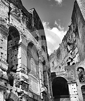 Rome Coliseum in black and white