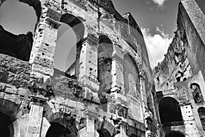 Rome Coliseum in black and white