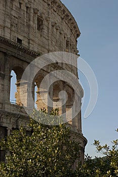 Rome - colosseum