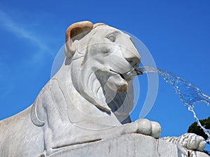 Rome - Detail of the Fountain of the Lions