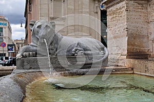 Rome, Italy. Lion statue spitting water in Moses Fountain.