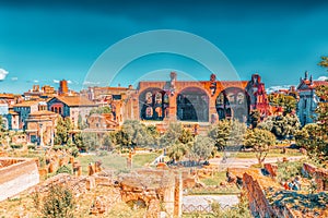 ROME, ITALY - MAY 08, 2017 : Archaeological and historical objects in Rome, united by the name - Roman Forum and Palatine Hill.