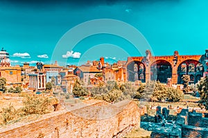 ROME, ITALY - MAY 08, 2017 : Archaeological and historical objects in Rome, united by the name - Roman Forum and Palatine Hill.