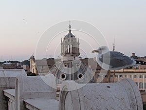 Rome, Italy, old and basilica of the beautiful city. view from top of Monument to Vittorio Emanuelle.