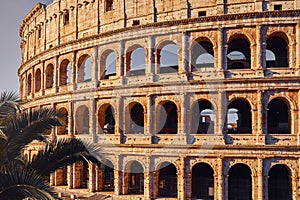 Rome Italy. Roman Colosseum Coliseum or Colosseo ancient