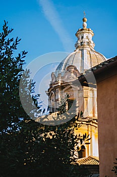 Rome, Italy - A vertical shot of the Basilica Aemilia partially covered by tree leaves during a clear sky afternoon