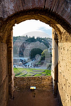 Rome`s Colisseum at Sunset