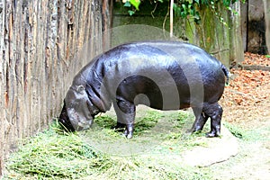 Rome-Visit to the Biopark.