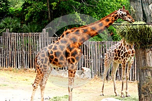 Rome-Visit to the Biopark.