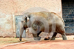 Rome-Visit to the Biopark.