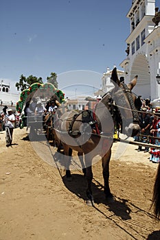 Romeria del Rocio