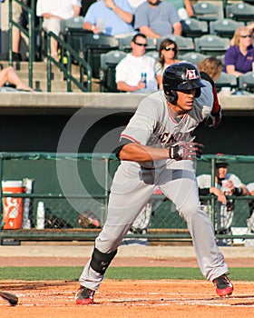 Ronald Guzman, Hickory Crawdads