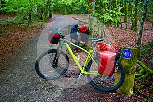 Roncesvalles beech begin Way of Sain James bike photo