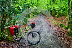 Roncesvalles beech begin Way of Sain James bike photo