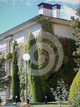 Ronda- Hotel gardens-Andalusia