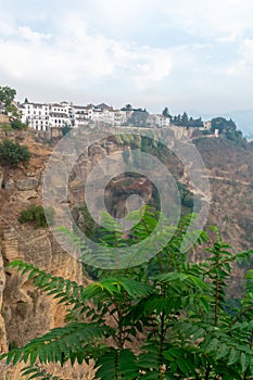 Ronda is located on a deep gorge where the river Tagus passes. Malaga. Andalusia. Spain.