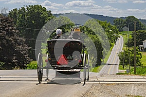 Rear View of an Amish Couple in an Open Horse and Buggy