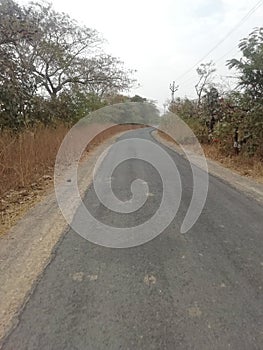 Rood to sasan gir gujarat in Indian photo