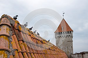 Roof of acient castle and donjon